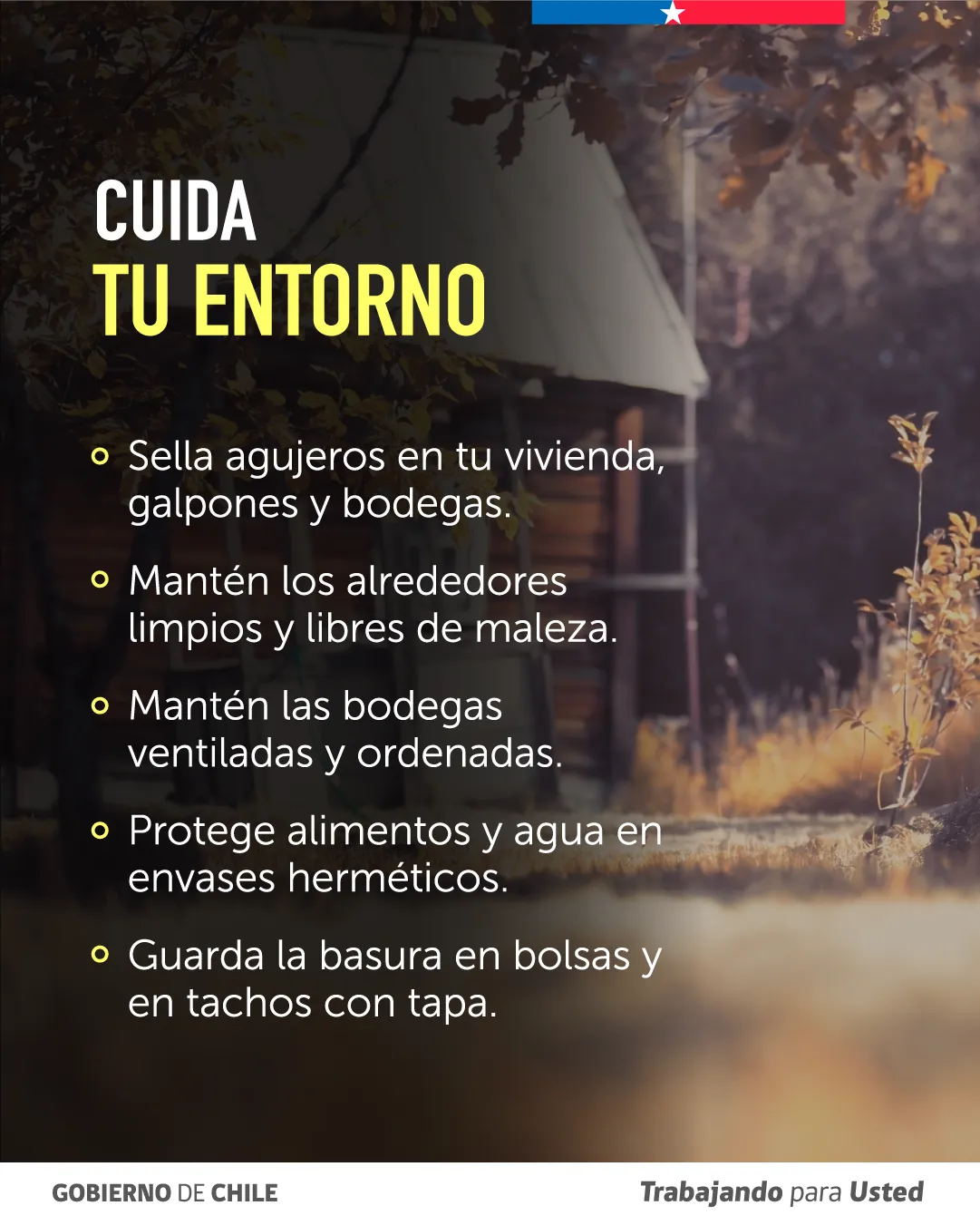 rrss hanta_recomendaciones_03