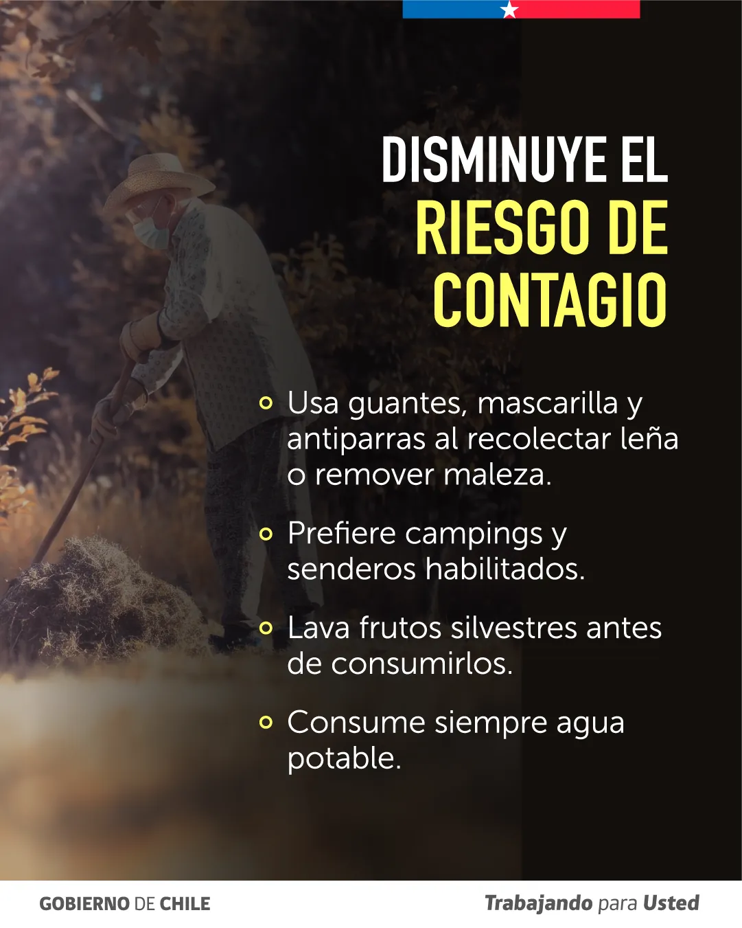 rrss hanta_recomendaciones_04